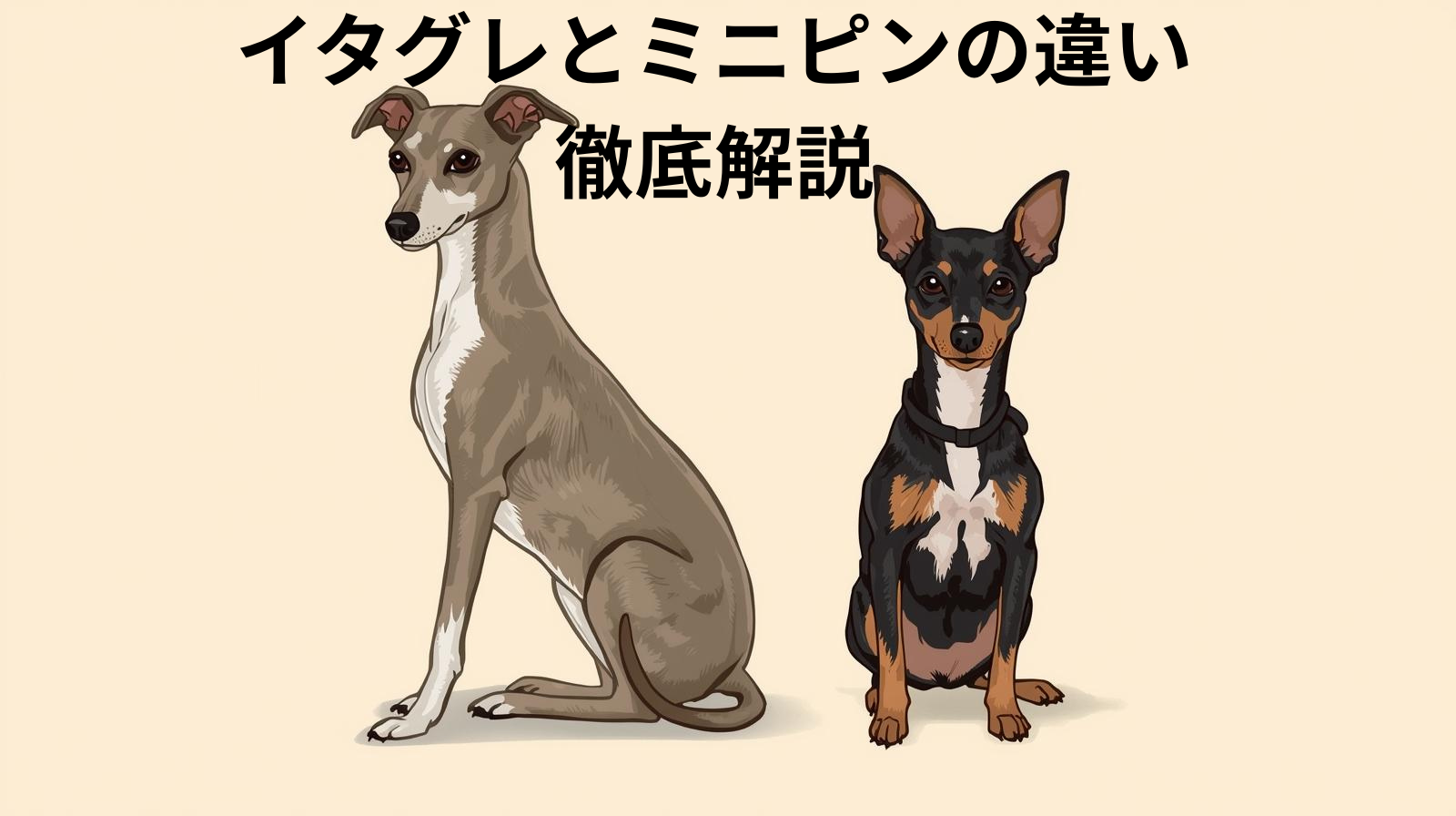 イタグレとミニピンが並んでいるイラスト