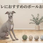 イタグレにおすすめのボールおもちゃ　アイキャッチ